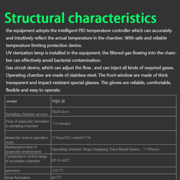 Automatic Heating Anaerobic Incubator Vacuum Chamber Bacterial Incubator ISO