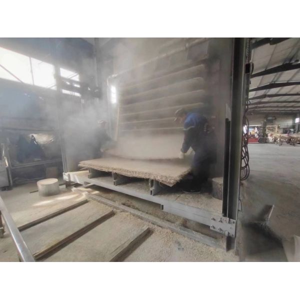 Office Ceiling Tile RAL White Wood Wool Cement Acoustic Panels Soundproofing Board