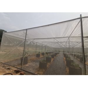 Buy cheap Strong Frame Metal Frame Greenhouse For Potted Flower Cultivation from wholesalers