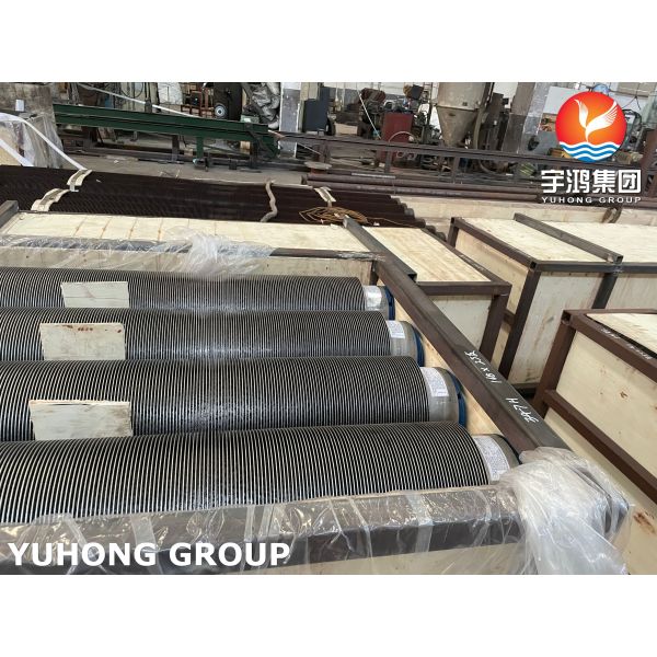 ASTM A213 TP347H High Frequency Welding Fin Tube With SS409 11Cr Fin In Fired Heater