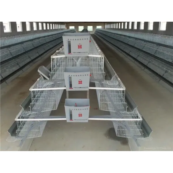 Insulation Panel Prefab Steel Structure Metal Breeding Poultry Chicken House