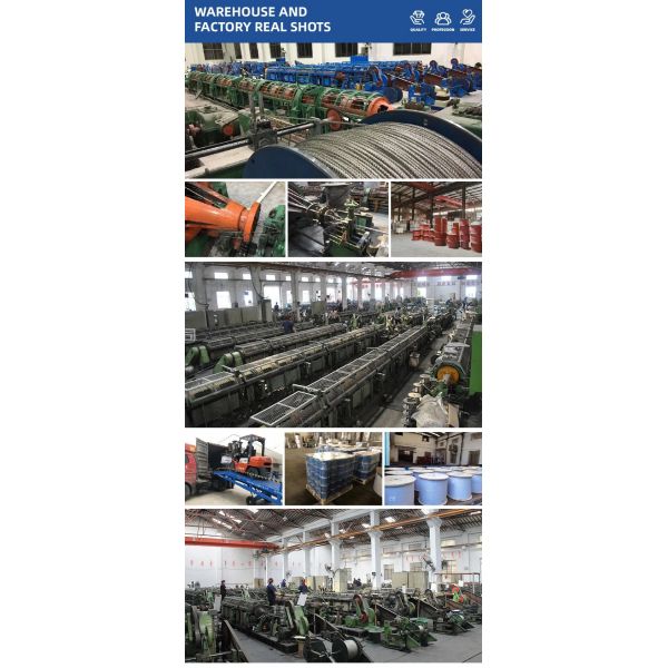 7x19 Pvc Coated Galvanized Wire Steel Rope Dog Tie Out Cable within Special Free Cutting Steel