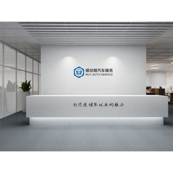 Other Exterior Accessories Advance Auto Parts front shocks absorber and struts set complete assembly for vehicle