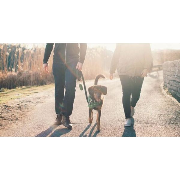 Nappy Baby Disposable Diaper Sacks, Degradable scented disposable baby diaper sack, green tie handle baby diaper sack