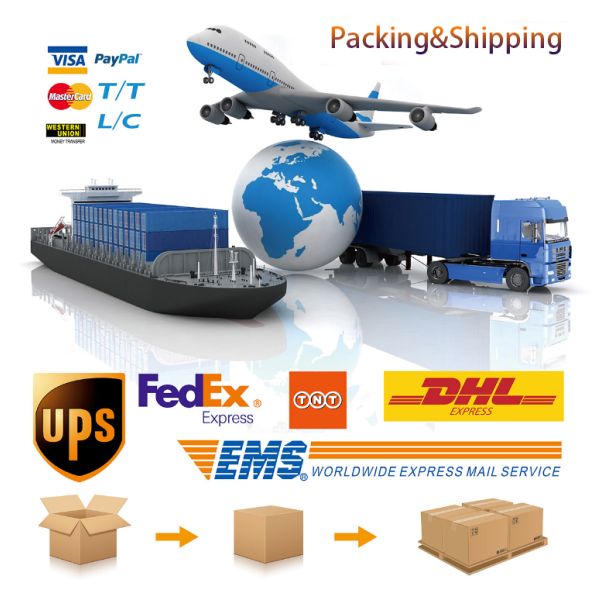 Scooter Replacement 12V 60Ah Rechargeable Li Ion Battery Lead Acid