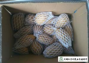 Cheap Multipurpose Fresh Potato 10 Kg / Ctn Packing Elliptical Shape Easy Store wholesale
