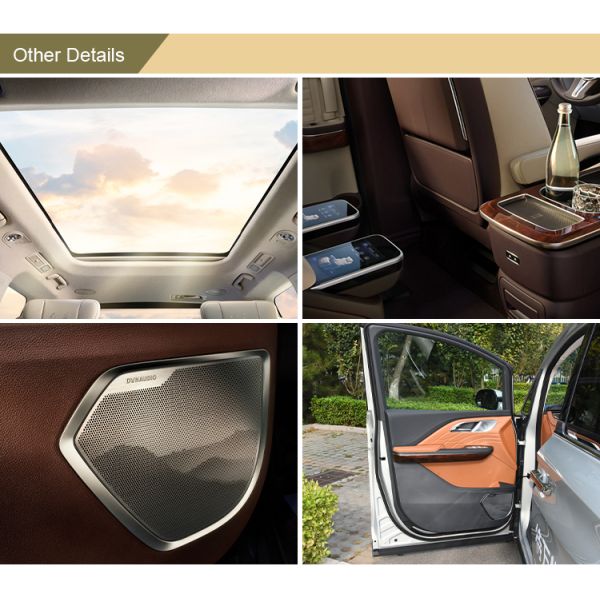 2023 Hongqi HQ9 2.0T 252HP Gasoline MPV The Ultimate Family Vehicle with Macpherson Front Suspension