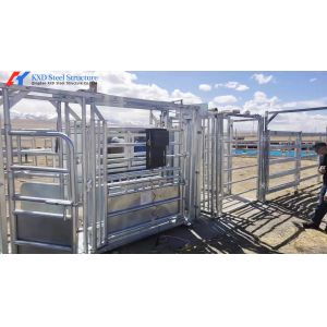 Heavy Duty Steel Cattle Buildings Customized Steel Structure Animal Husbandry