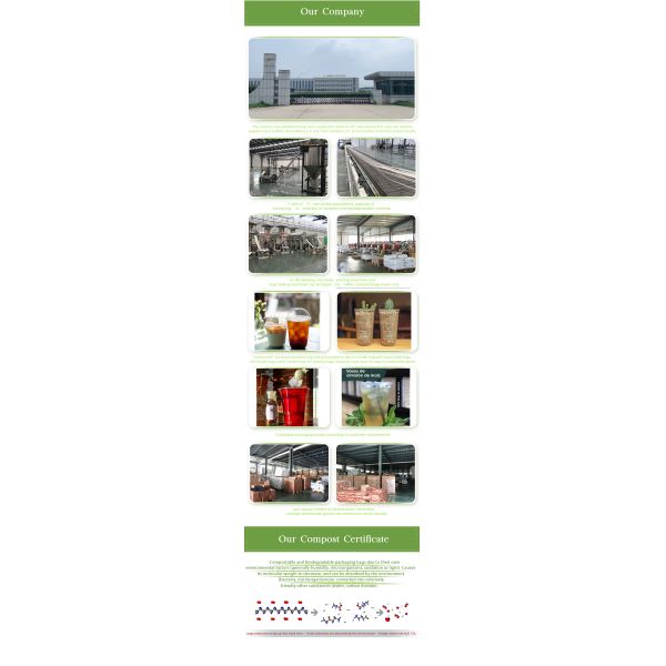 ODM Biodegradable Disposable Cups Juicer Tea Soda Drinking