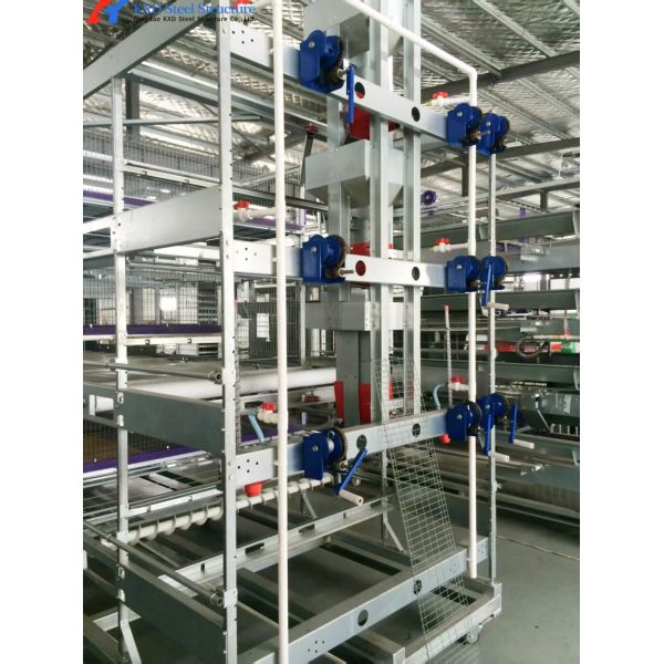 Automatic Battery Egg Layer Cages , Chicken Laying Hens Cage Poultry Farming Equipment