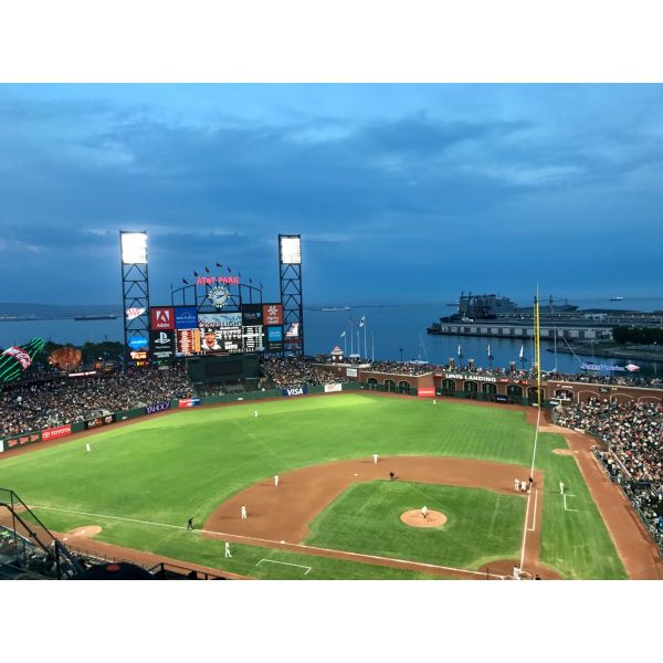 14000 Dtex Artificial Tile Floor Grass Roll Environmental Friendly