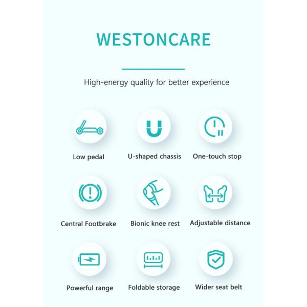 Electric Standing Lift Wheelchair for Rehabilitation Brown Leather