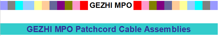 10G OM3 MPO Patchcord