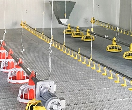 400kg/H Poultry Farming Equipment For Broilers Products