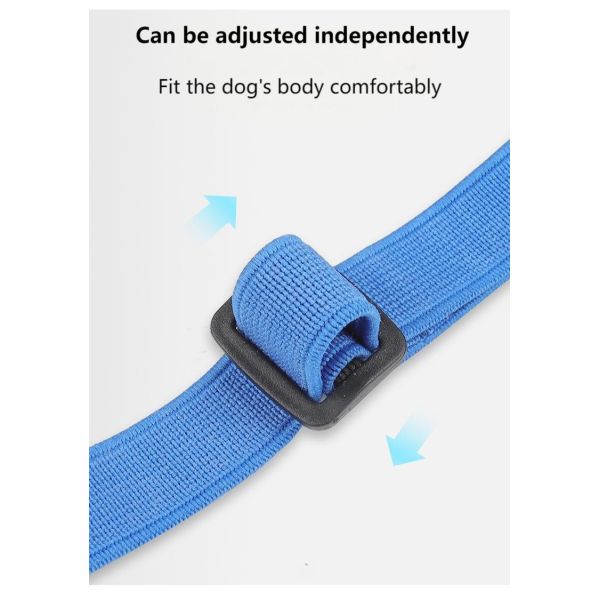 Pet Mask Anti-barking and Anti-biting Dog Muzzle Breathable Mesh Pet Muzzle Anti-ingestion Pet Supplies