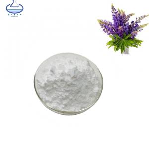 Cheap Anti Oxidation Lupinus Albus Extract Lupeol Powder CAS NO. 545-47-1 wholesale