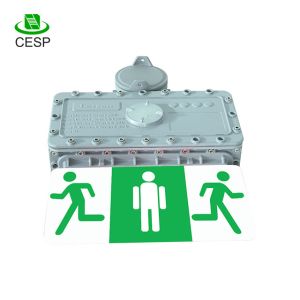 China p67 fire safety exit signs emergency warning light on sale