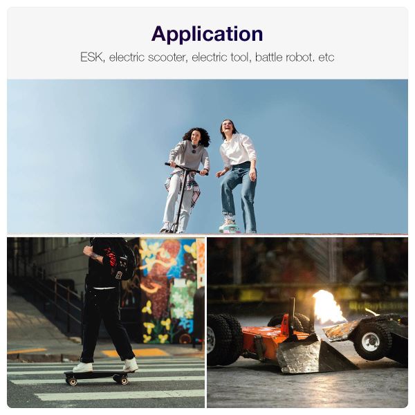 6368 BLDC Motor High Torque Belt Motor With Hall Sensor For Electric Skateboard