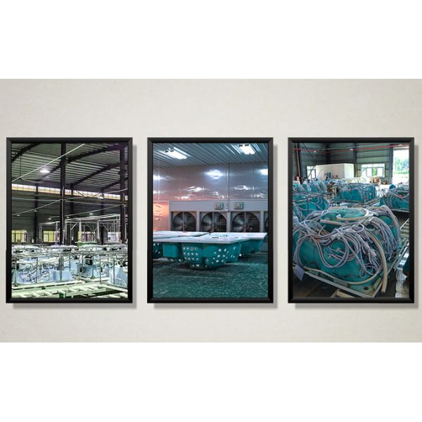 Balboa 6 Persons Freestanding Spa Hot Tub Whirlpool Hot Spring Bath Tubs