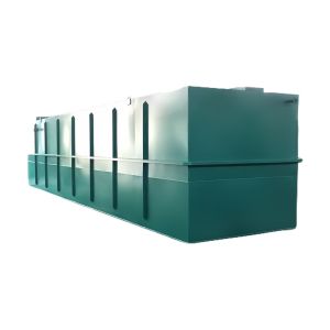 Slaughterhouse Industrial Wastewater Treatment Equipment 3000L/H BOD Removal