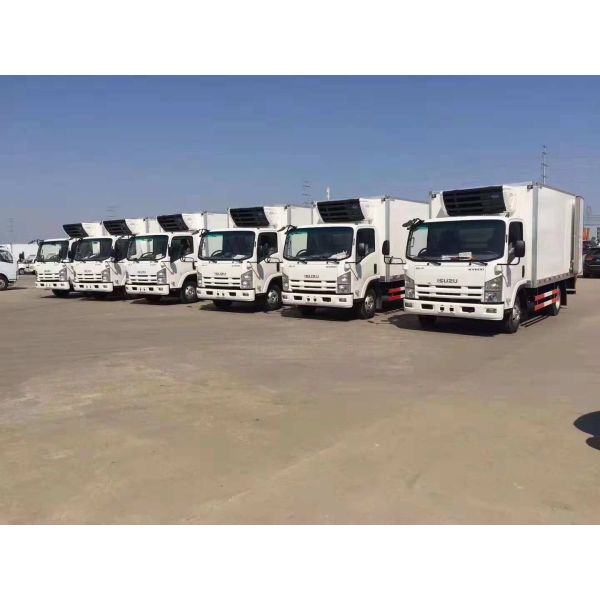 ISUZU KV100 Refrigerated Transport Trucks 3T 4T 5T For Frozen Fish