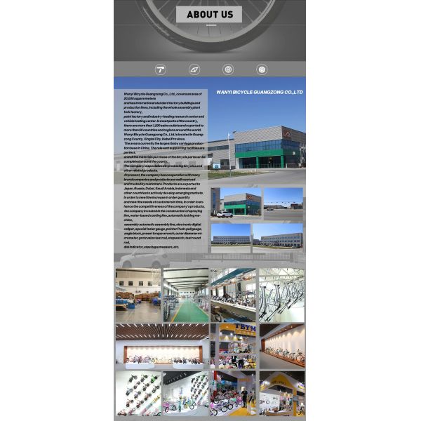 Red / Ink Blue / Native Silver Aluminum Alloy Ladies Bicycle 24/26 Inch