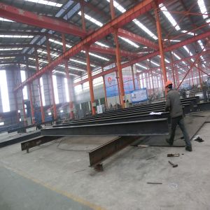 Industrial Waterproof Steel Structure Warehouse Business Expansion And Progress