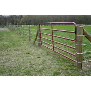 Gate 5 Bar 16' (4800mm) - Farm Field Brisbane Pick up