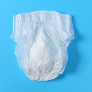 Menstrual Women Panties Super Soft Disposable Overnight Underwear with OEM