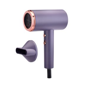 Cheap Plastic Electric Hair Dryer With Ionic Folded Function OEM ODM wholesale