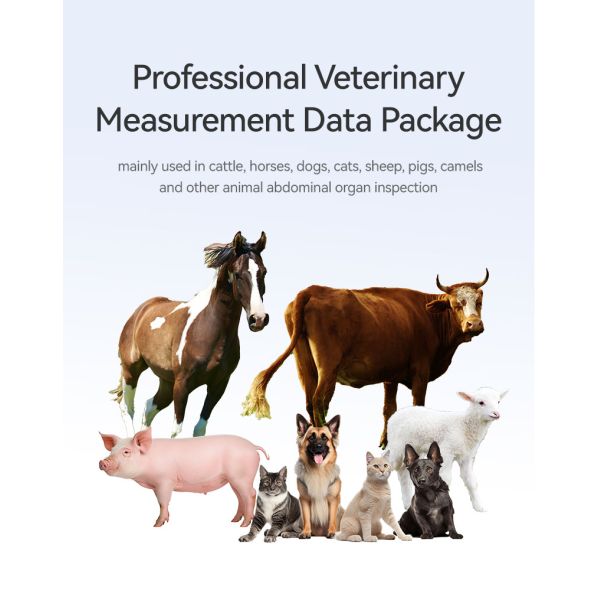 Yonker Portable Ultrasound Machine Ultrasound Machine for Animal/cattle Cow Horse Goat Use Veterinary Instrument