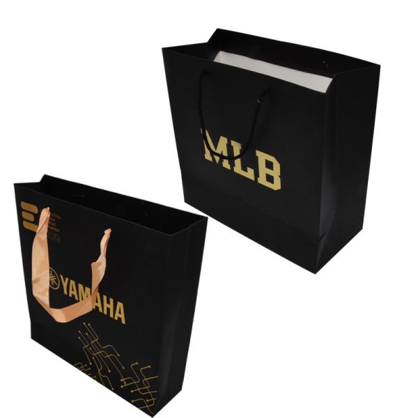 Recyclable CDR Custom Printed Paper Shopping Bag CMYK PMS With Rope Handles
