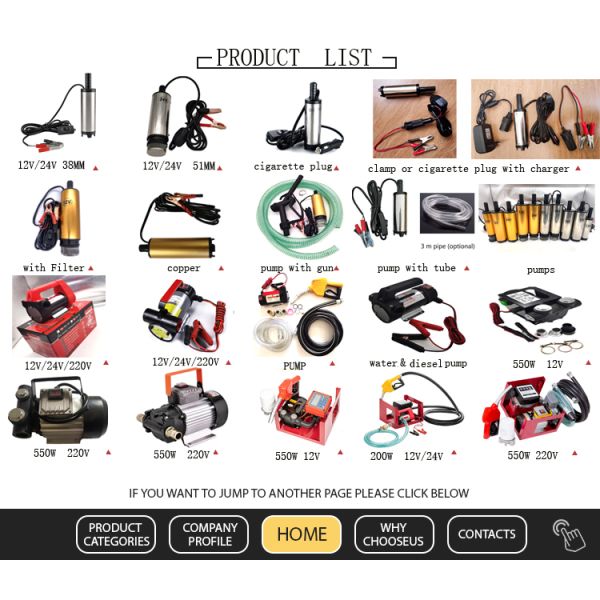 12v 24v 220v Electric Fuel Diesel Transfer Oil Pump Assembly