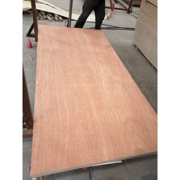 Furniture Moisture Proof 18mm 12mm Bintangor Plywood