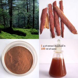 China Pine Bark Extract Proanthocyanidins 95% on sale