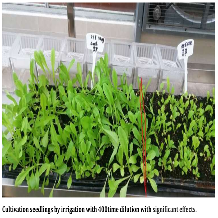 Hydrolyzed Fish Meal Protein Powder 100% Water Soluble Fertilizer