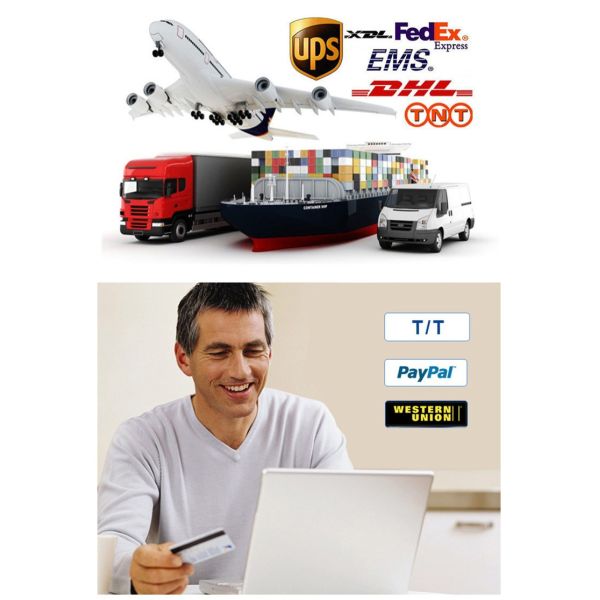 charm wood watches with your logo , leather wood wristwatches oem ,wholesale in China .