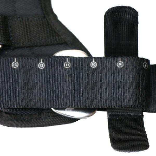 Comfortable Mesh Inside Dog Pet Harness XXS-L With Car Seat Belt