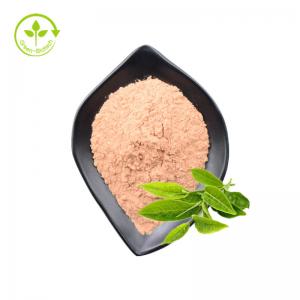 Cheap Food Grade Green Tea Leaf Extract Polyphenols 98% Catechin 80% Egcg 60% Bulk Powder wholesale