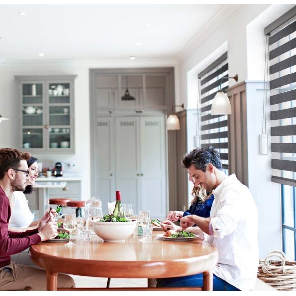 Bluetooth Wifi Curtain Motor Opener For Electric Roller Shutter Work With Alexa Google Home