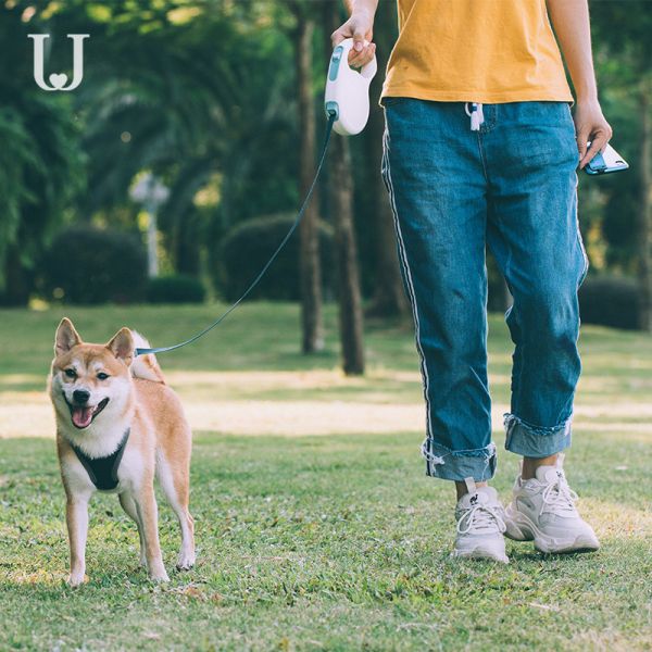 5M Long Extendable Dog Leash Traction Dorsal Automatic Retractable Dog Leash