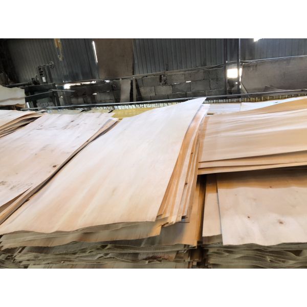 4x8 18 mm 25mm plywood board oak poplar birch furniture laminated plywood