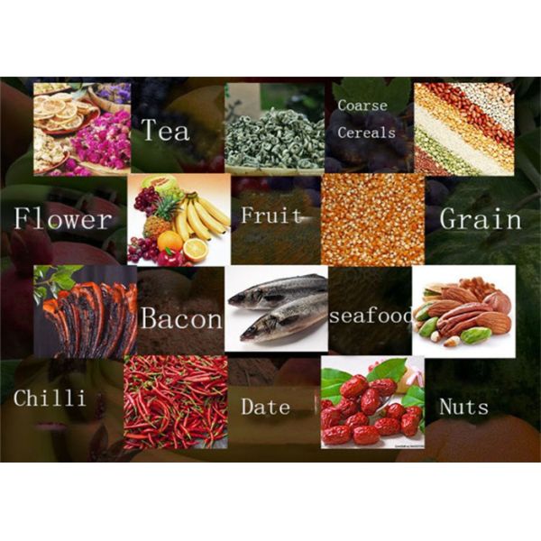 3400-13800m3 /H Velocity Electric Hot Air Oven Fish Drying Oven SUS304