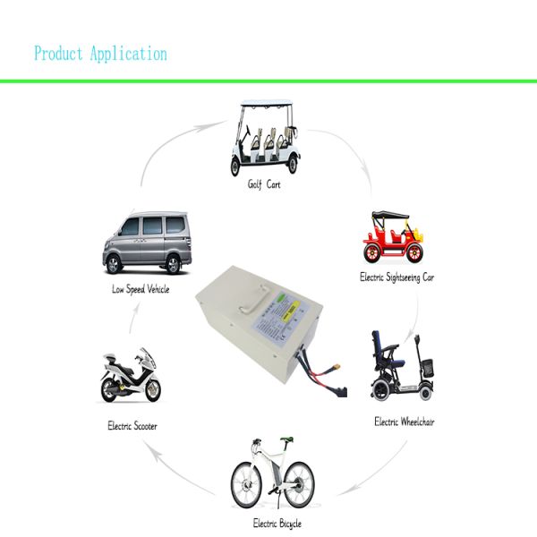EV Lithium Iron Phosphate Battery Packs 15S Lifepo4 48v 20ah