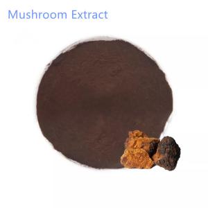 Cheap 30% 60% Organic Chaga Mushroom Extract Health Food Use wholesale