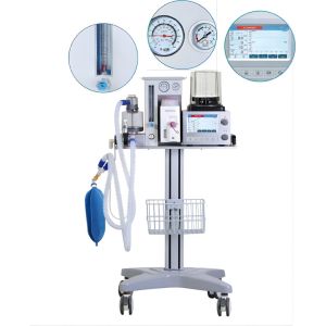 Cheap DM6B Four Casters Veterinary Anesthesia Scavenger System 0-60L/Min wholesale