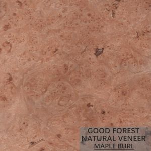Hotel Birds Eye Maple Wood Veneer Artificial Specially Natural