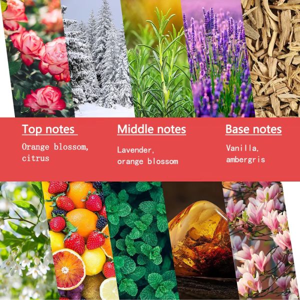 Luxury Brand Mini Perfume Women Perfume Spray Lady Long Lasting Smell Flower Story Floral Fragrance Perfumes