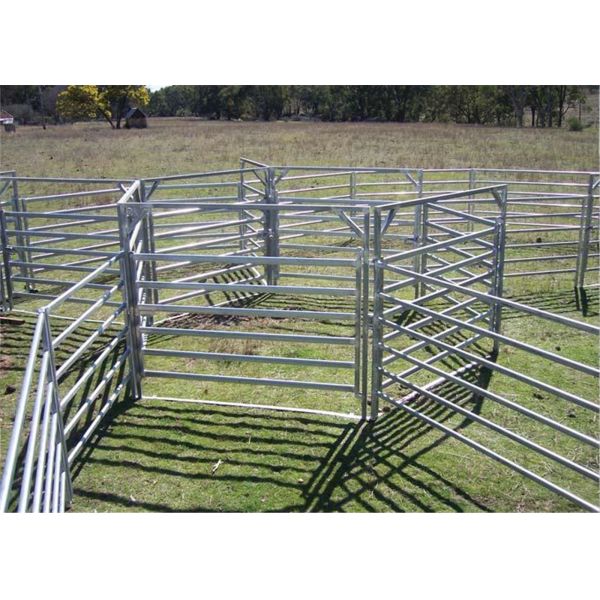 30X60mm Oval Pipe Cattle Livestock Yard Panel