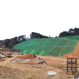 China Online Technical Support 3D Erosion Control Geonet for Road Mountain Slope Protection on sale